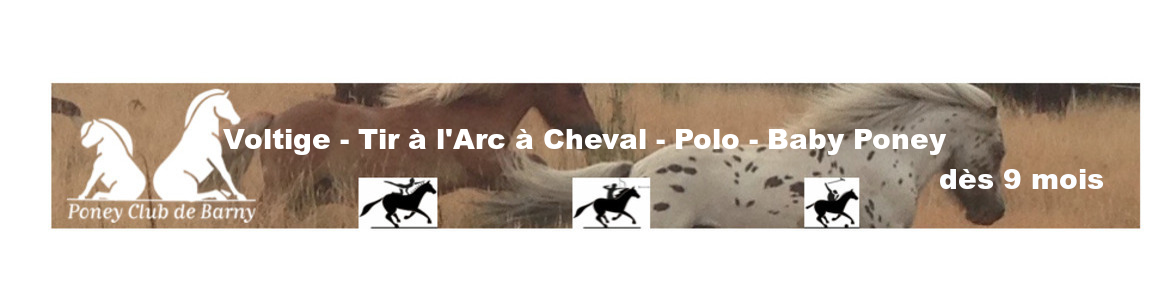 Voltige - Tir à l'Arc à Cheval - Polo - Baby Poney