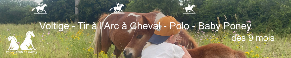 Voltige - Tir à l'Arc à Cheval - Polo - Baby Poney